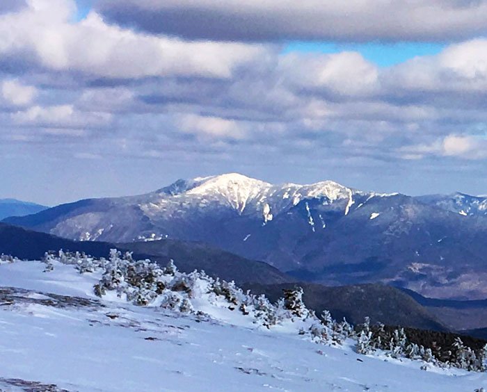 From the Moose